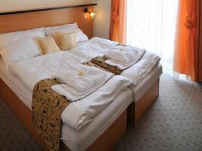 Hotel Manes Svratka Exteriör bild